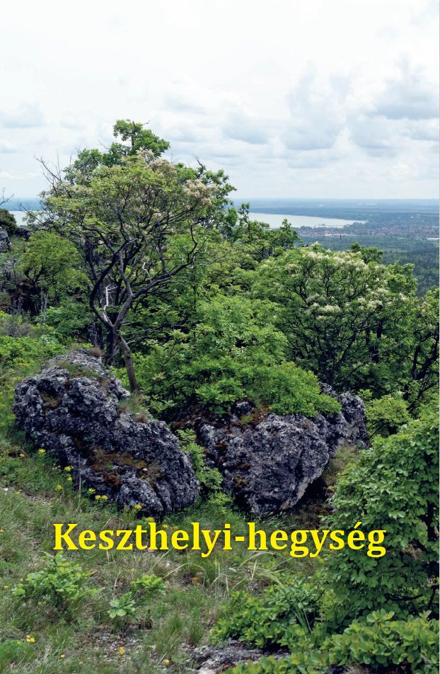 keszthelyi_hg_borito