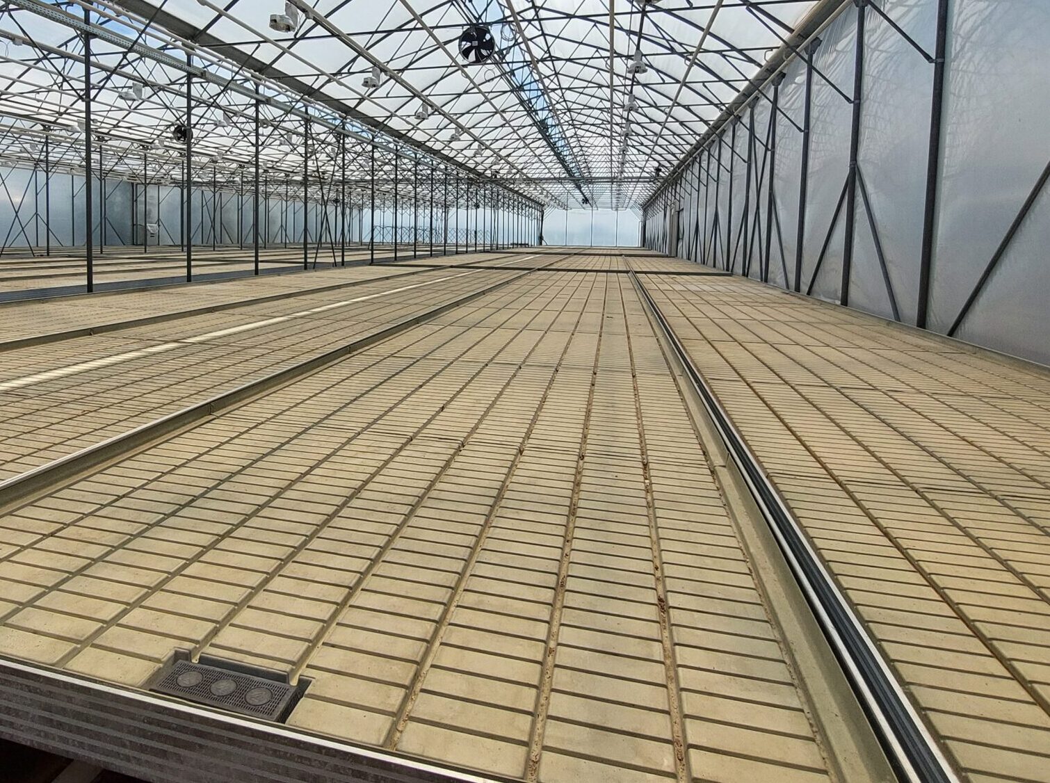 A kiváló minőség érdekében már öt éveár-apály rendszerű, gördülőasztalos palántanevelőt építettek