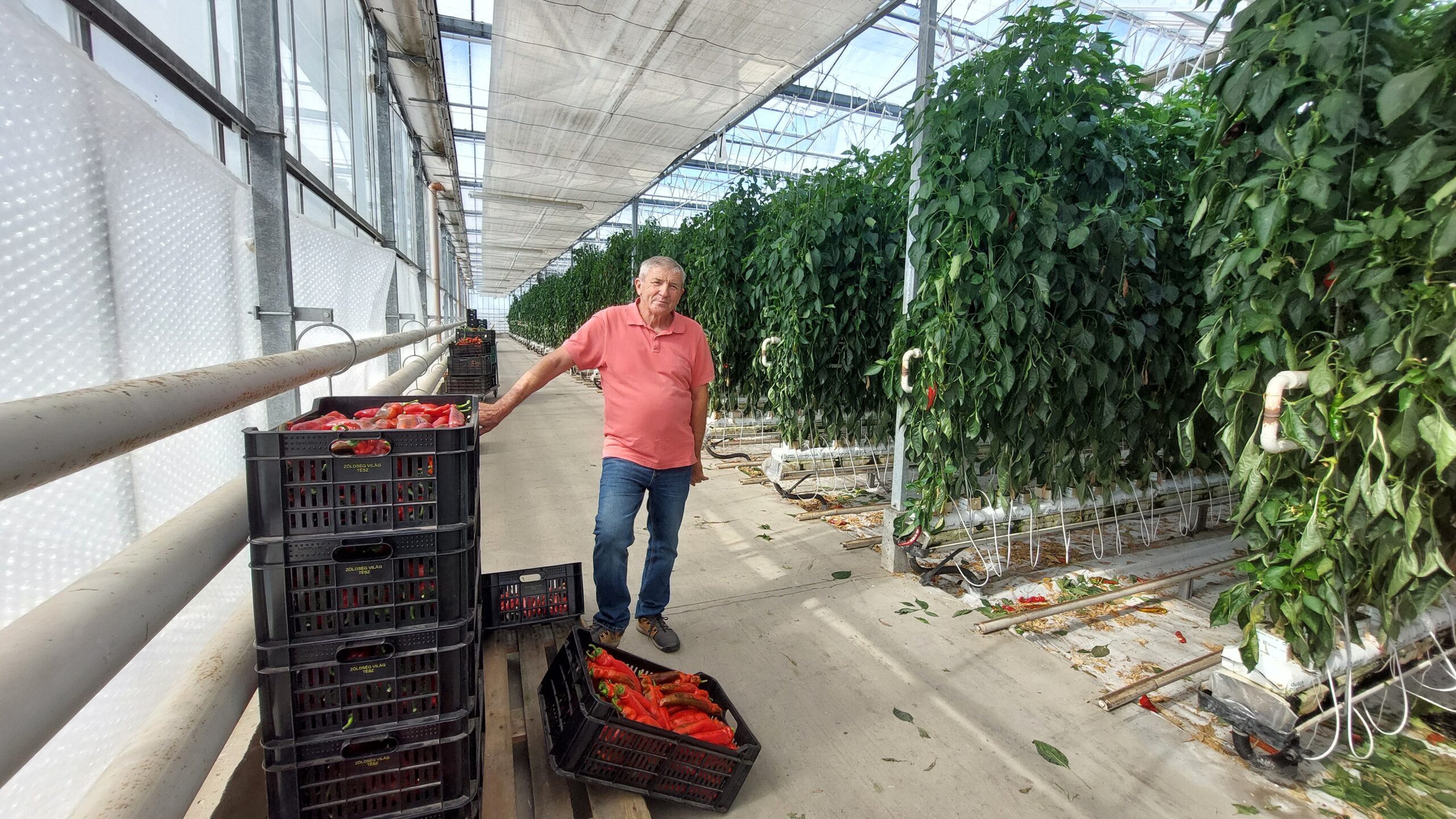 Ignácz Ferenc bízik benne, hogy tervükmegvalósítását segíti majd egy befektetőtárs