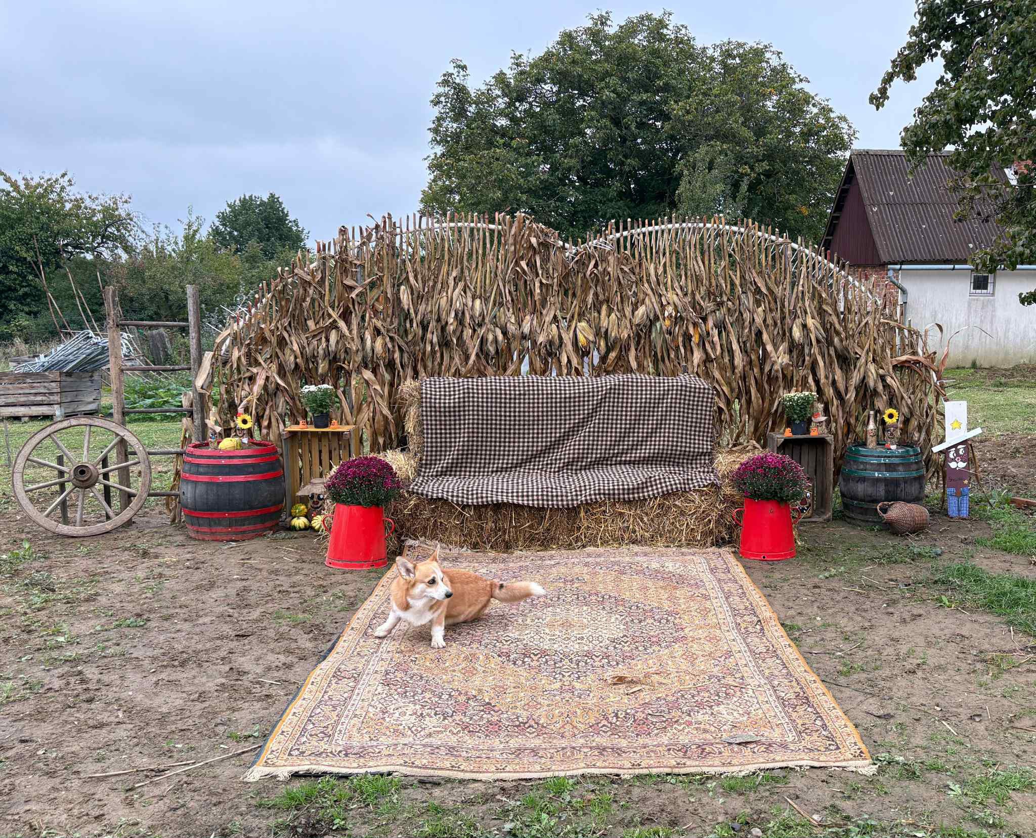 A kertlátogatásban megfáradtakat rusztikus pihenő várta
