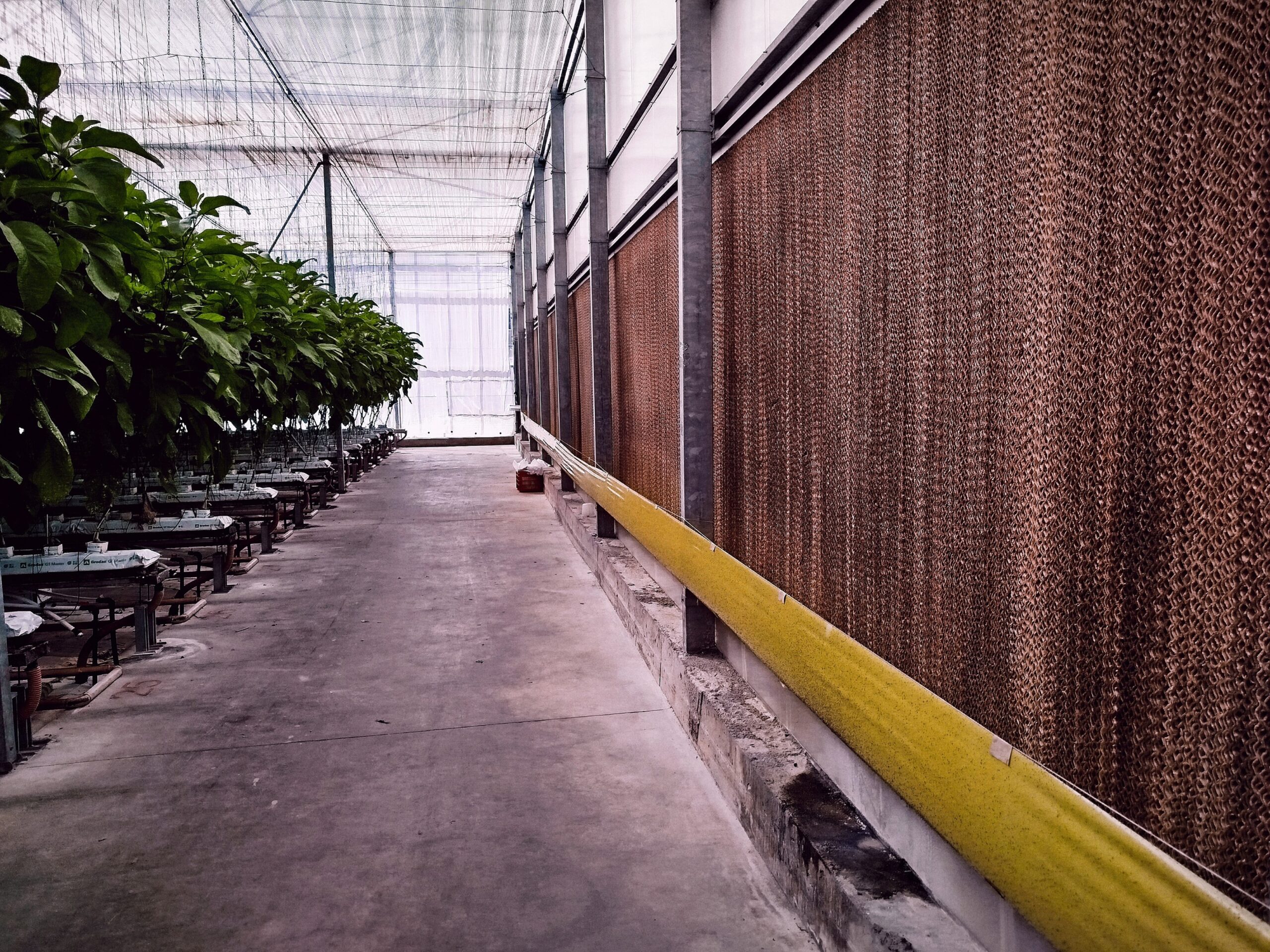 A mediterráneumban drágábbberendezésekben az aktív hűtés, a hűtőfalak alkalmazása sem ritkaság