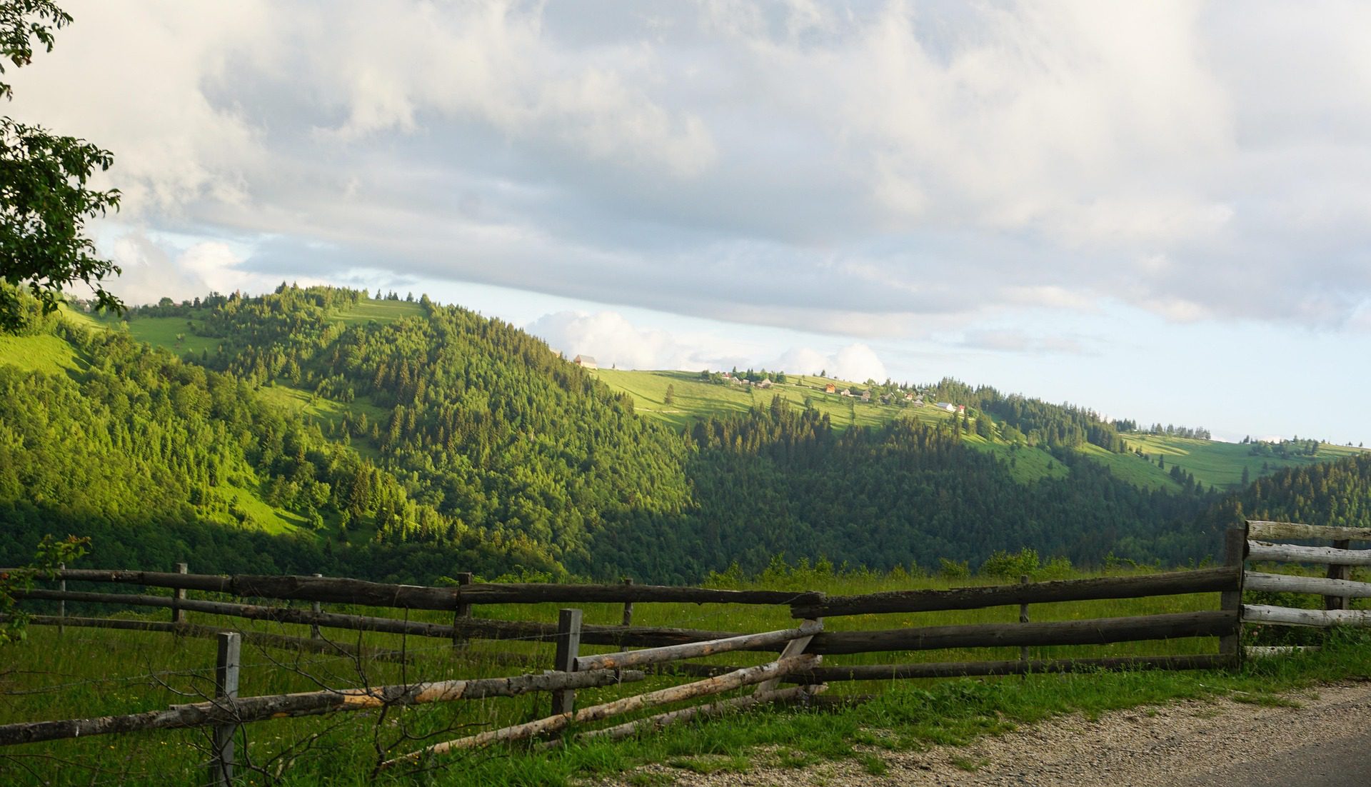 Erdő-legelő-kerítés