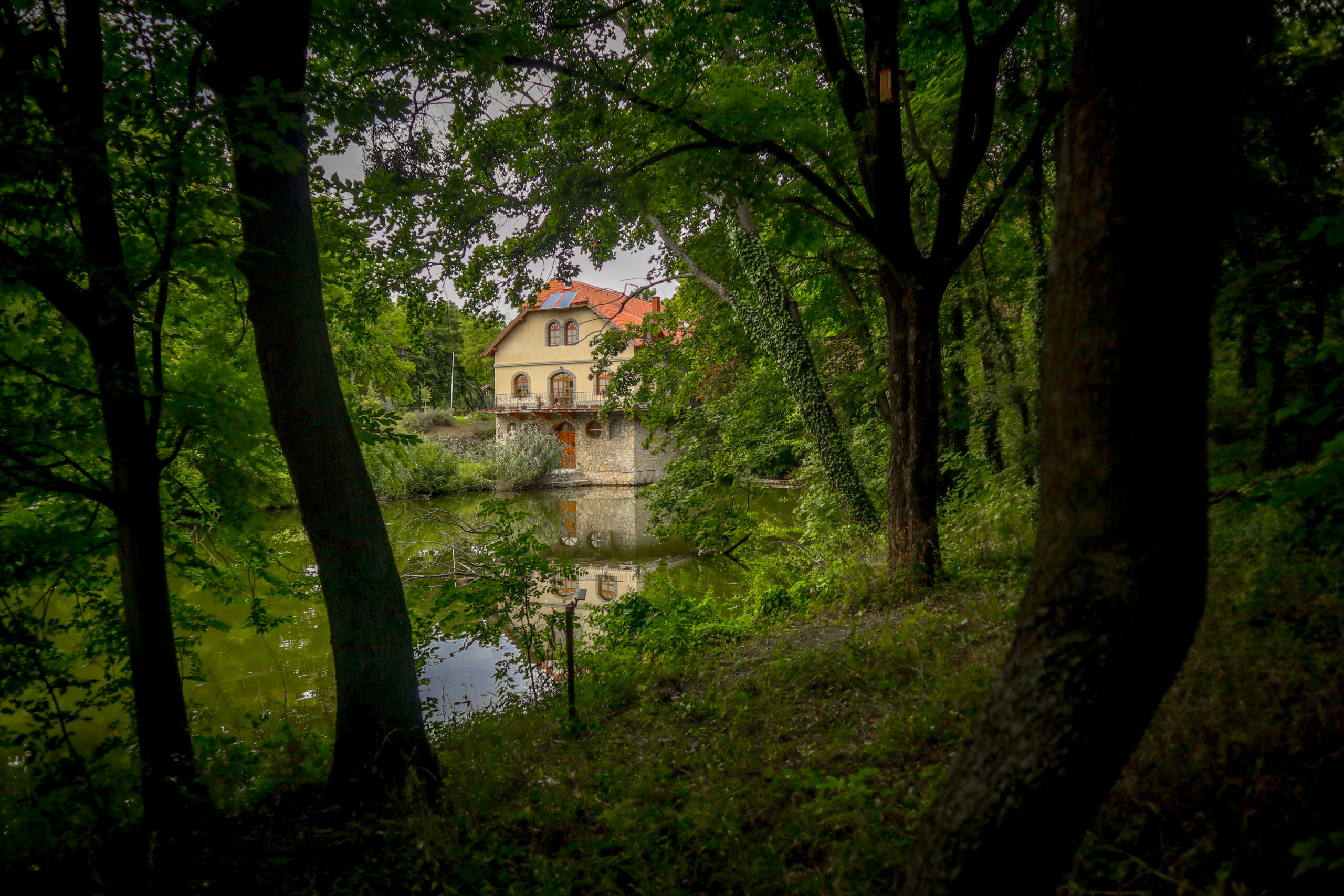 Tamás Marietta: Geszner-ház „A Mi Erdőnk” különdíj