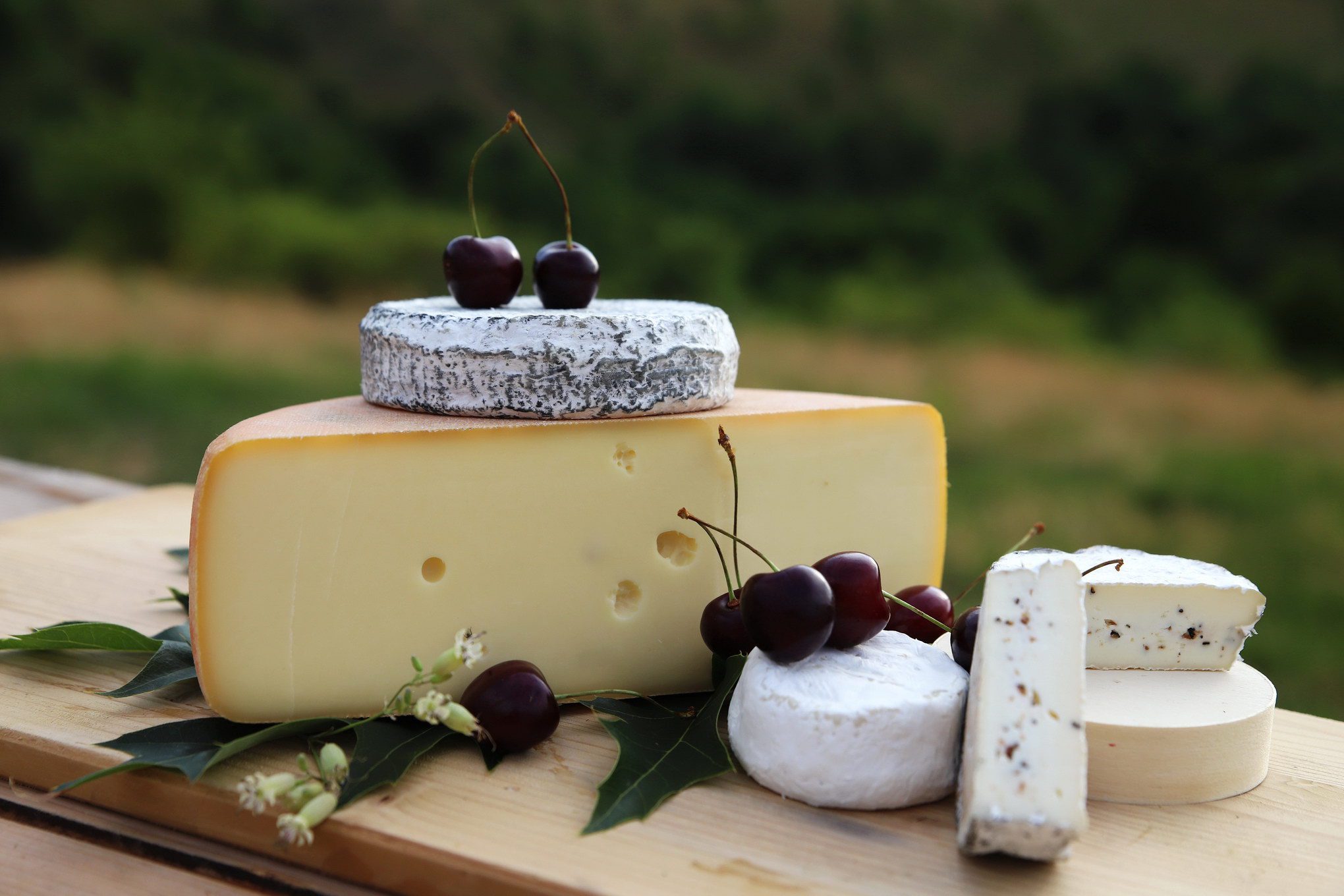 Sajtok a Bükk fennsíkról