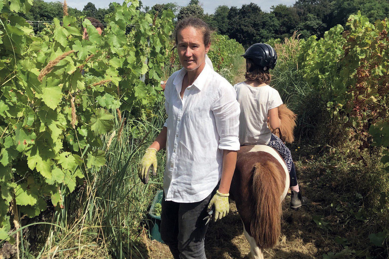 Ruppert Annamária a Remonta Verjus megálmodója