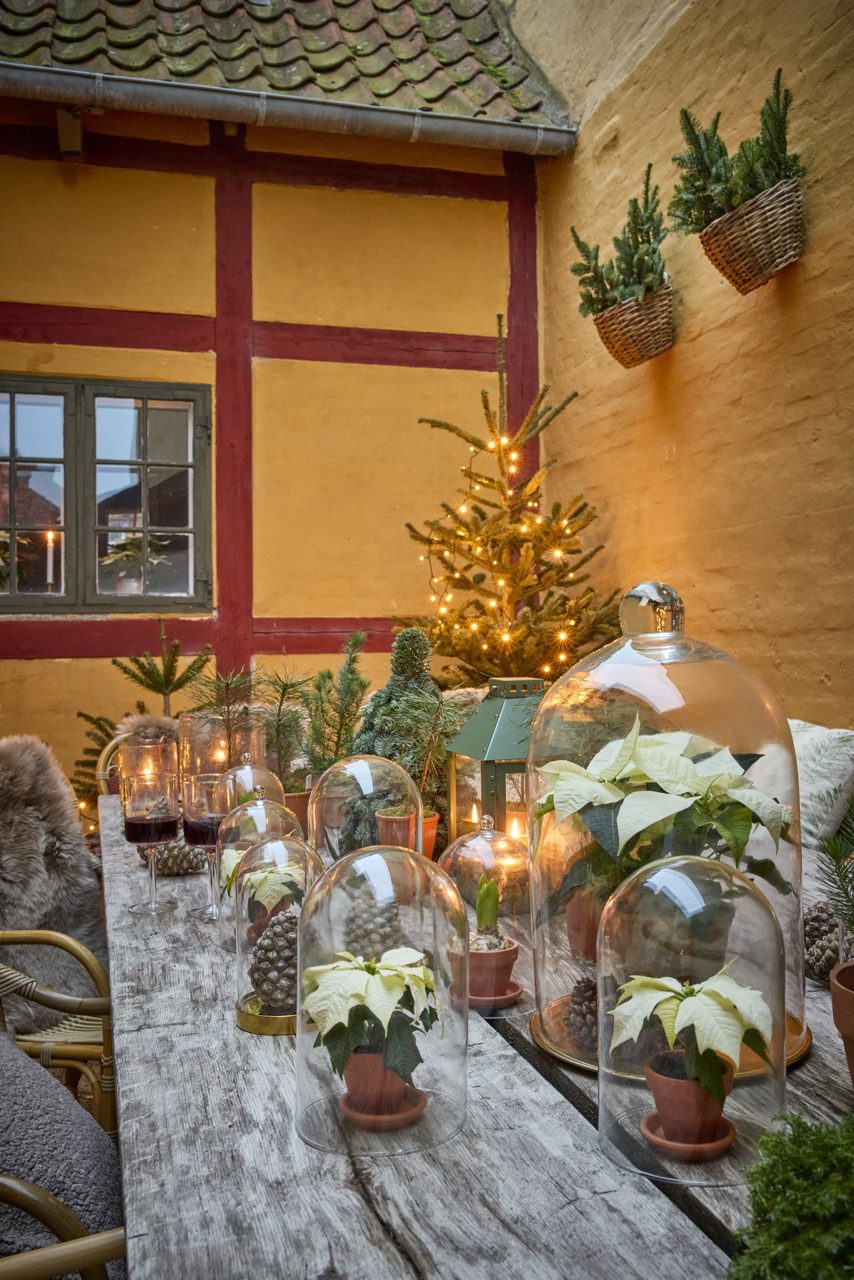 mikulásvirág karácsonyi dekoráció