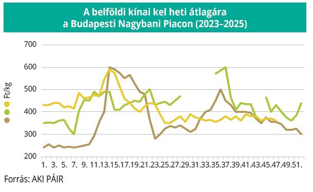 belfoldi_kinai_kel_AKI