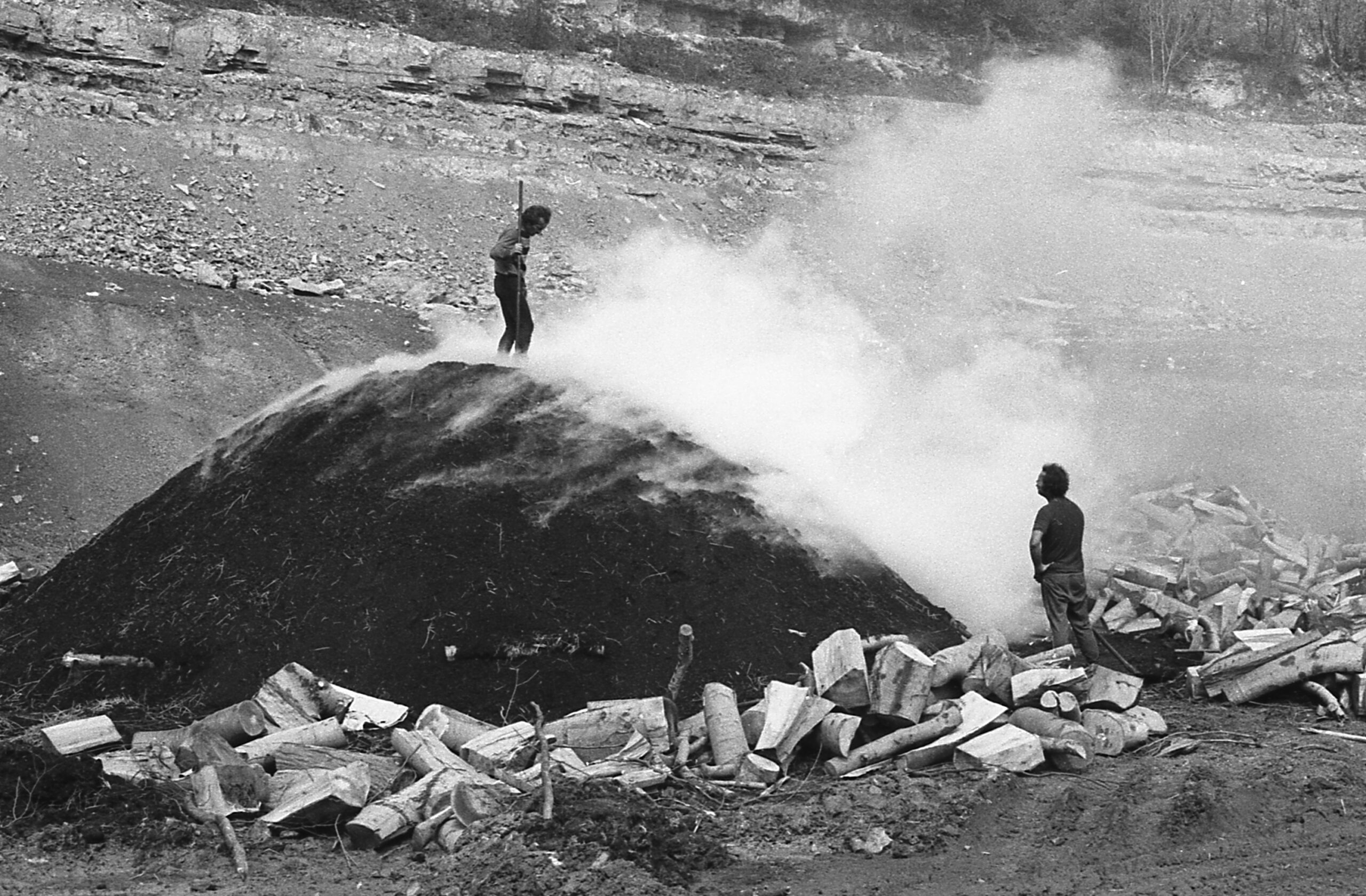 szénégető boksa erdő