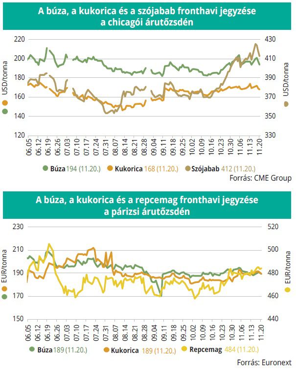 buza_kukorica_tozsde_48