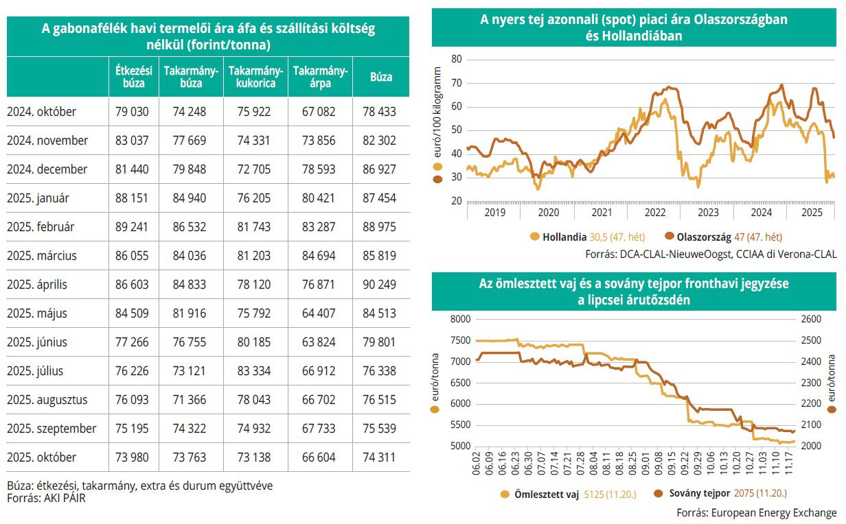 gabonafelek_tejtermekek_48