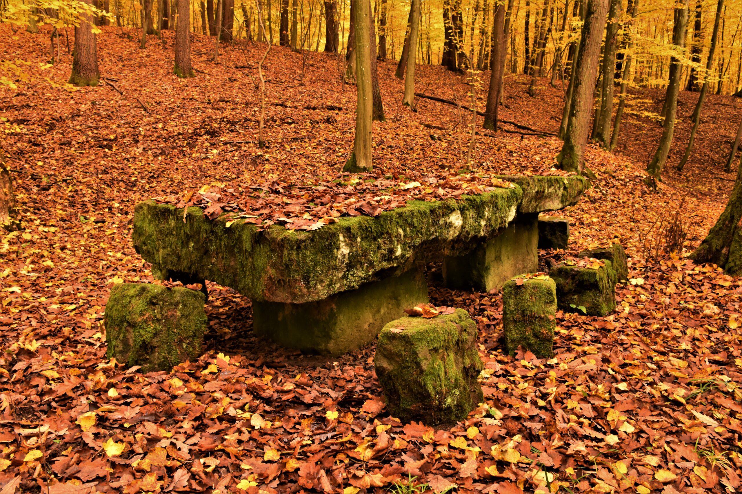 A Pappenheim család vadászat közben ennél a gránitlapokból készült asztalnál uzsonnázottrendszeresen. Az ő emlékükre nevezik ma is grófi kőasztalnak az emlékhelyet