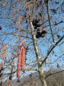 Fotó: Korda Márton