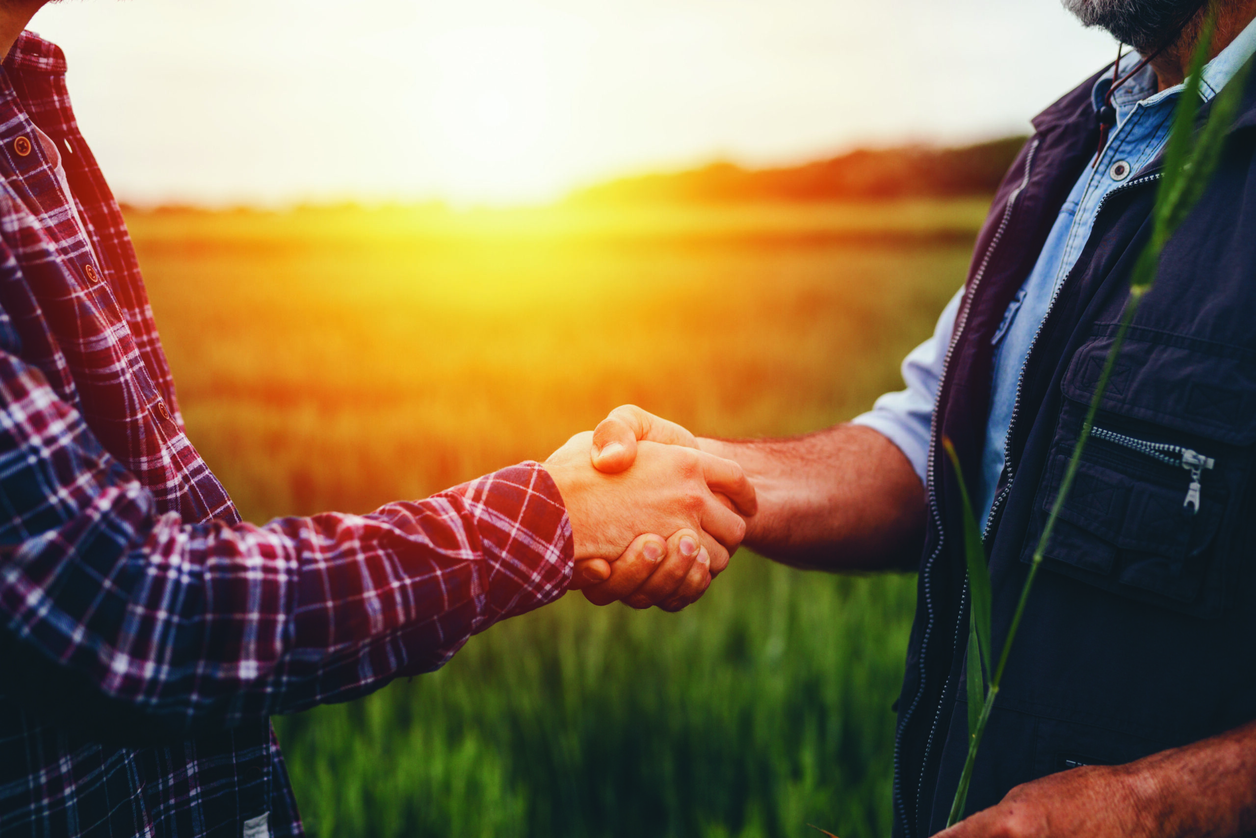 OTP PR cikk kézfogás hitel gazdaság