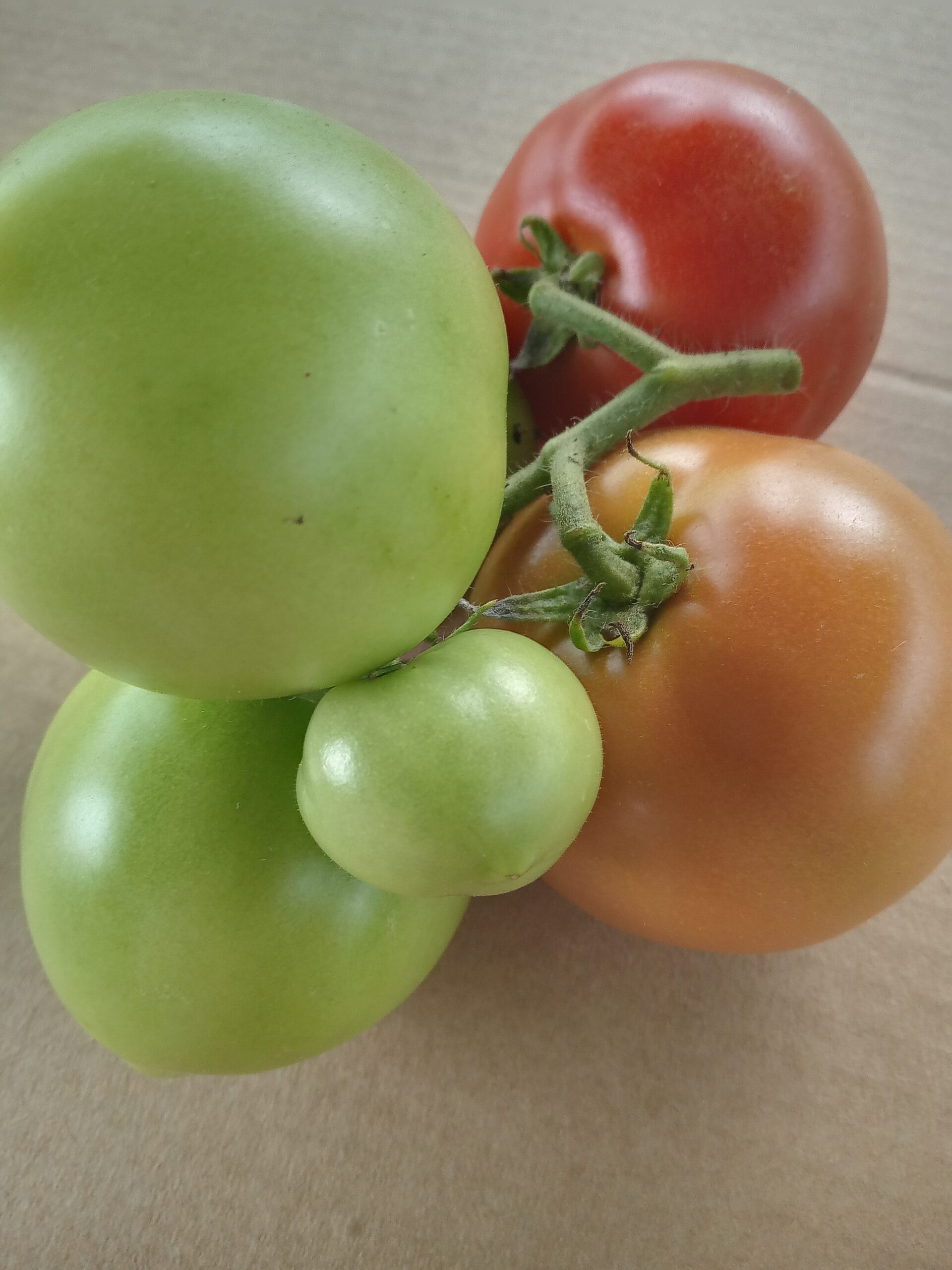 Ilyenkor már a méretesebb bogyók közt is válogatnunk kell