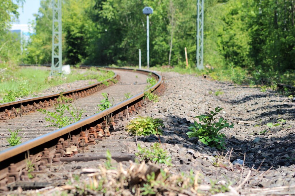 Muszáj a vasúti töltésnek gyommentesnek lennie, vagy mindenki jobban jár, ha zöldell?