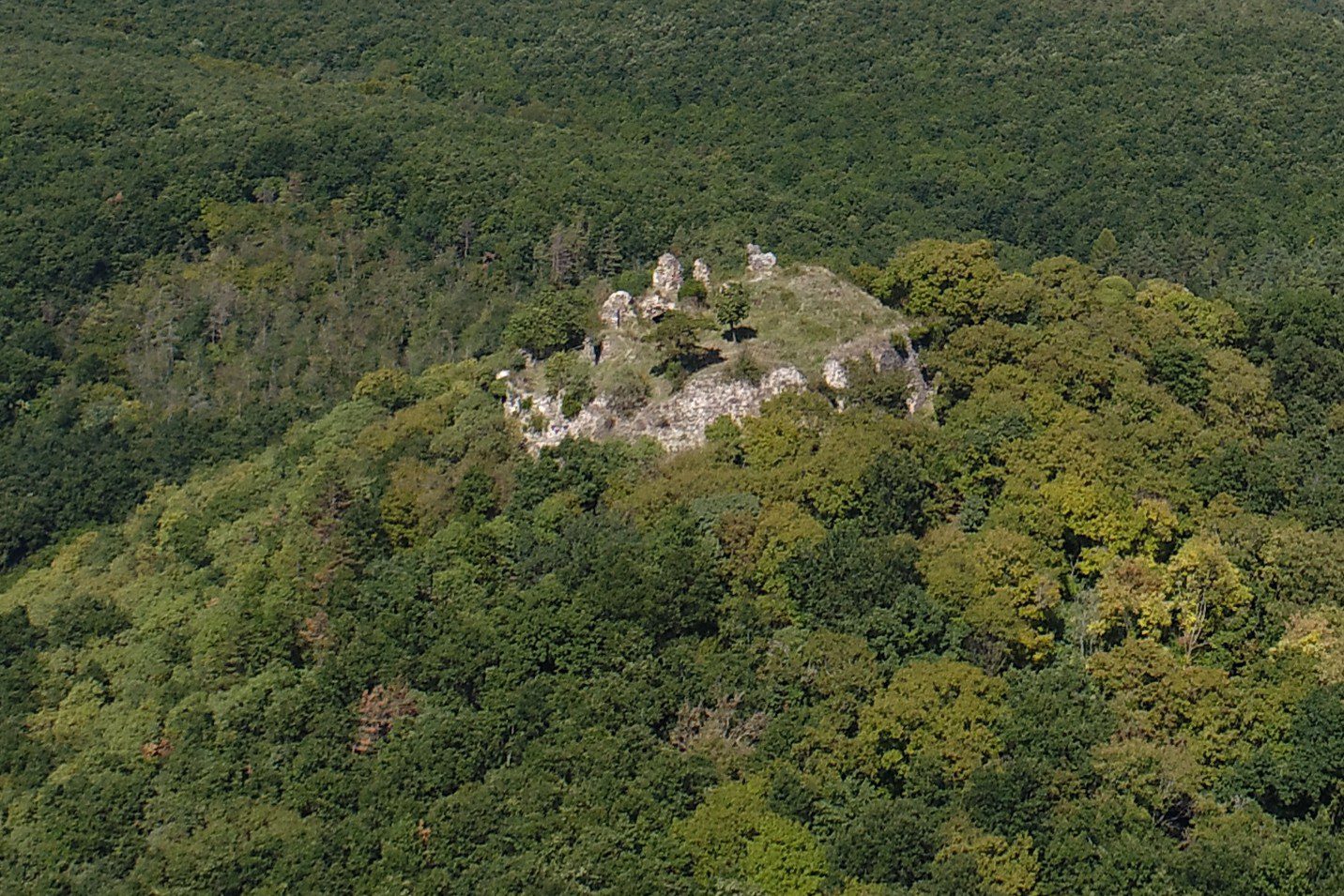 Buják várának romjait szinte teljesenvisszahódította a természet