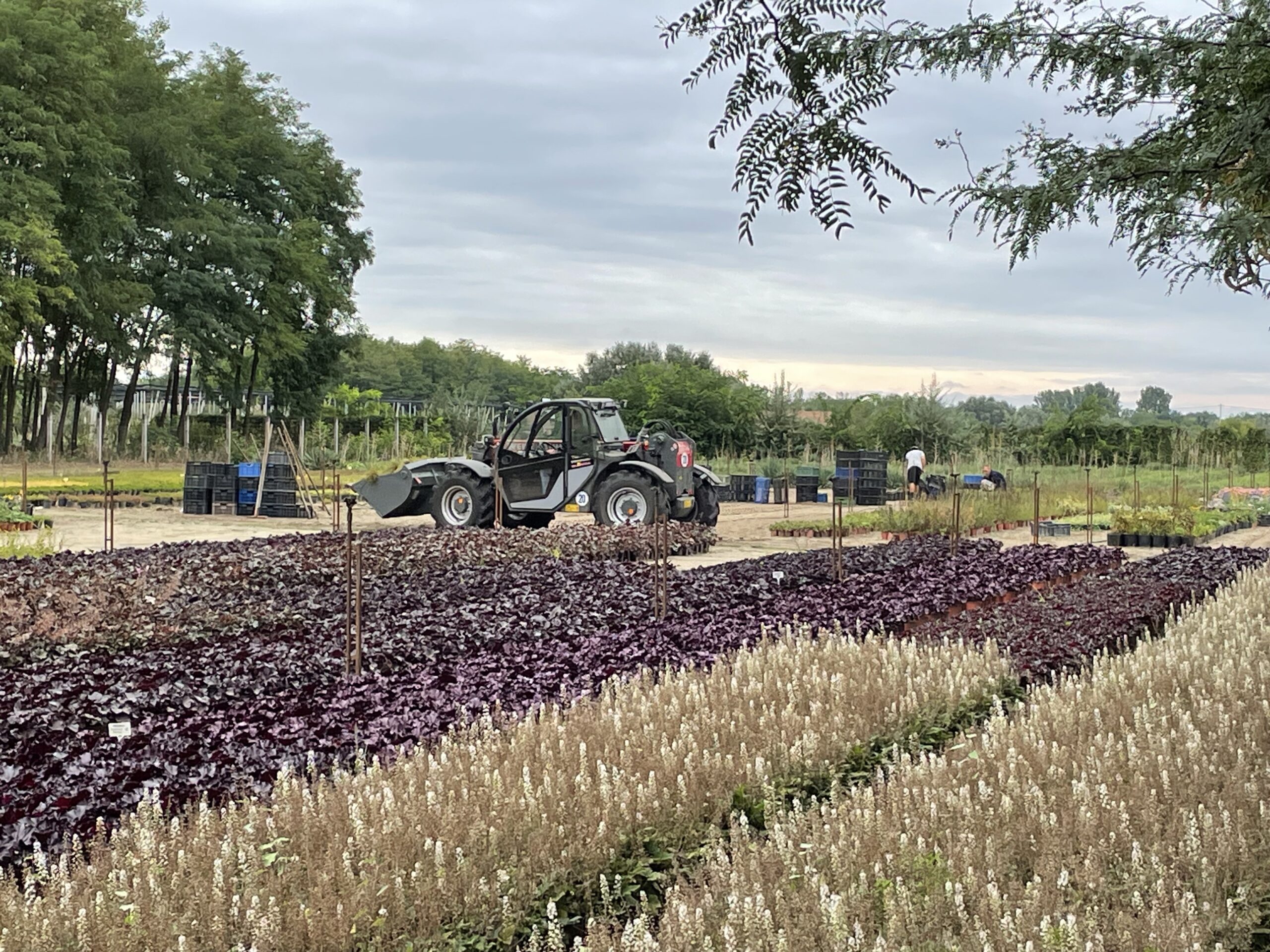 Tizenöt hektár szabadfölditerületen dolgoznak