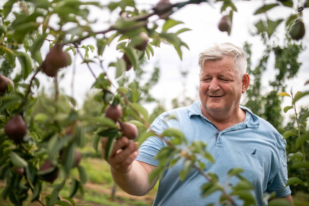 Simon Attila Simongyümölcs Magyar Vidékért Díj (Forrás: Simon Attila)