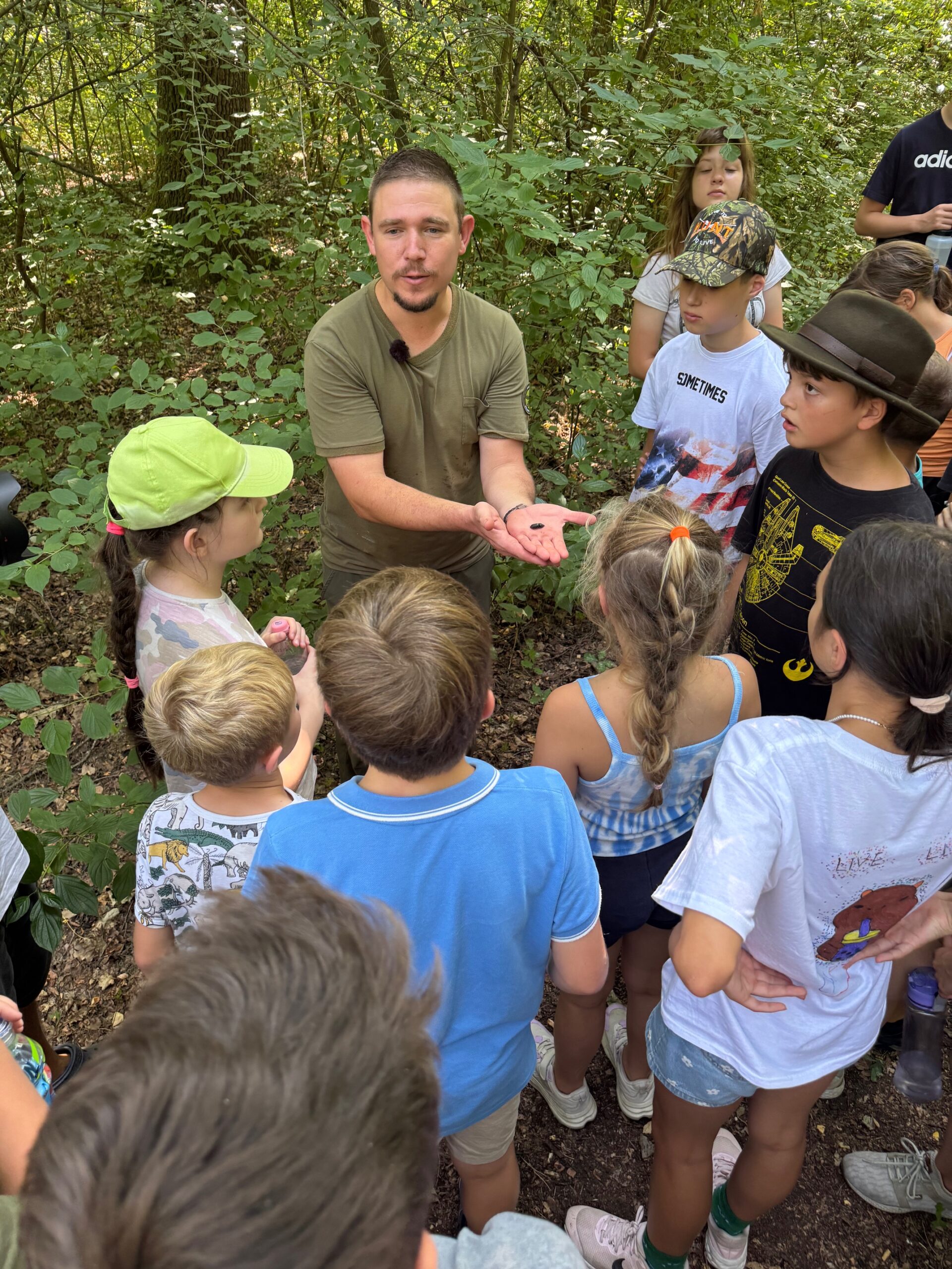 erdei iskola vackor vár