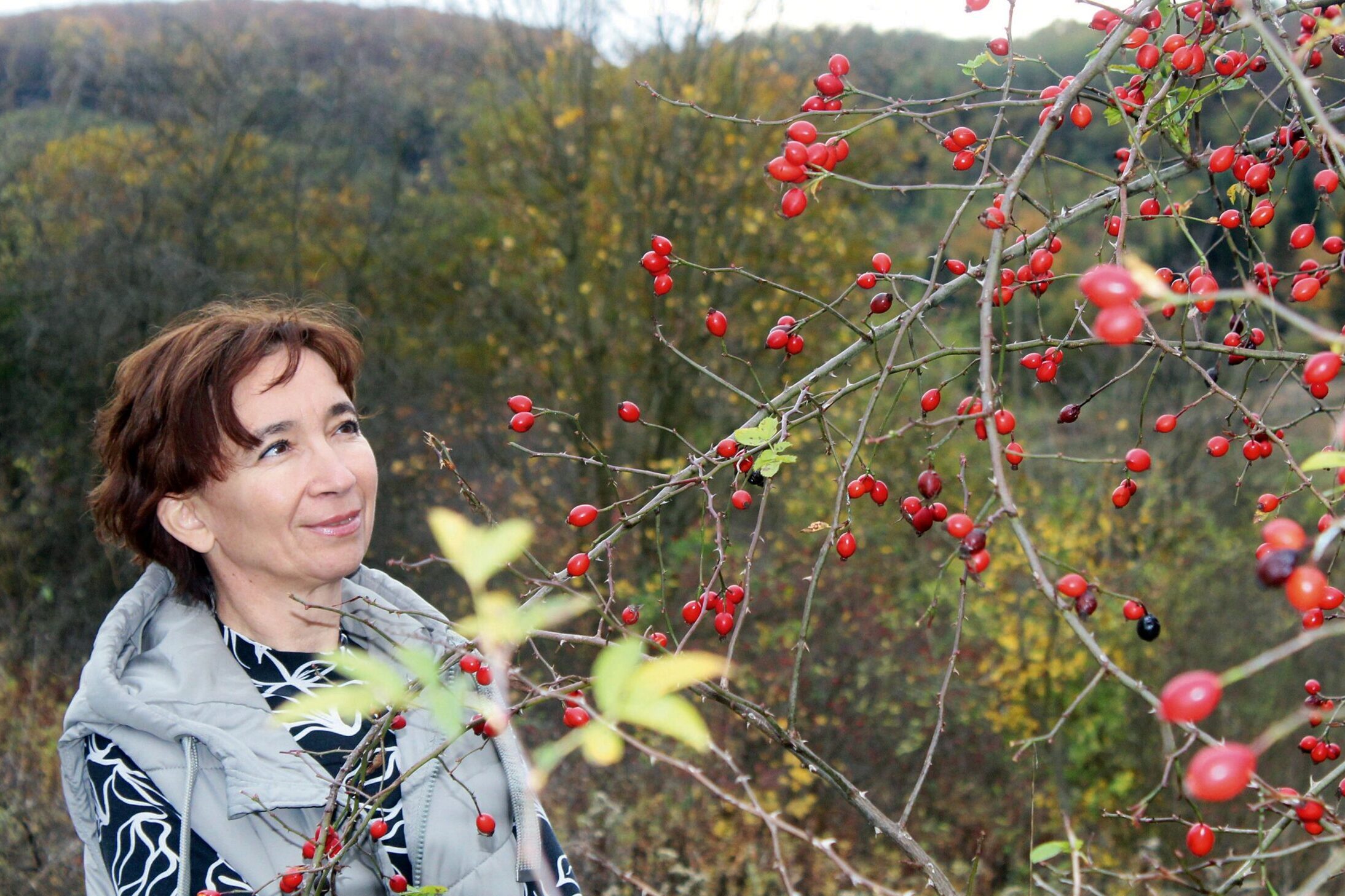 Ízletes teák fűből-fából