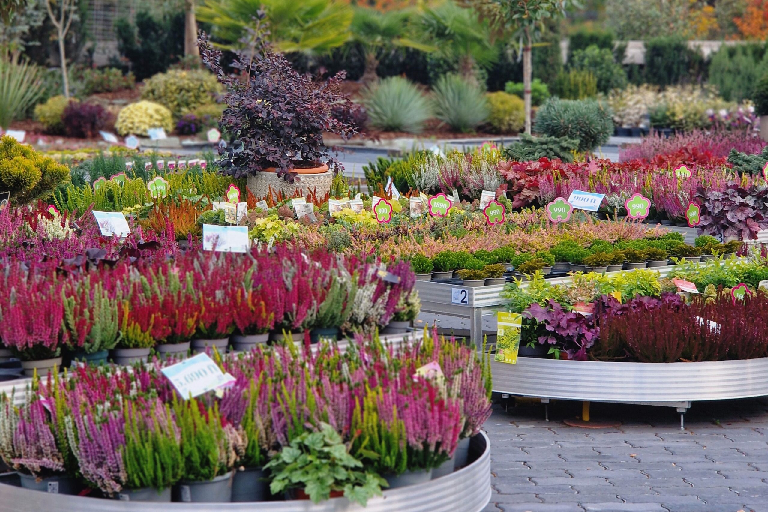 A külső árudai részen idén alakították kiaz ár-apály öntözést