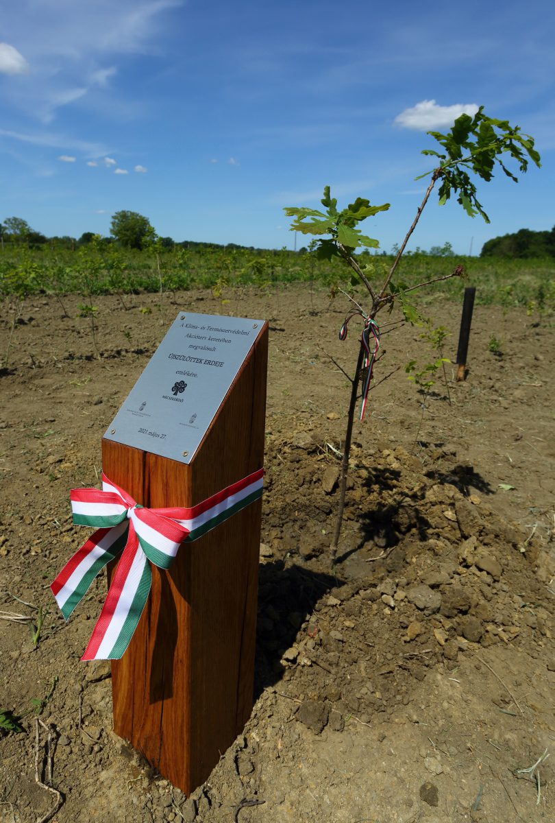 2021-ben telepítették az első ÚjszülöttekErdejét Szigetváron