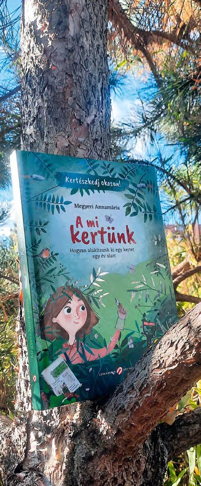 Hogyan alakítsunk ki egy kertet egy év alatt