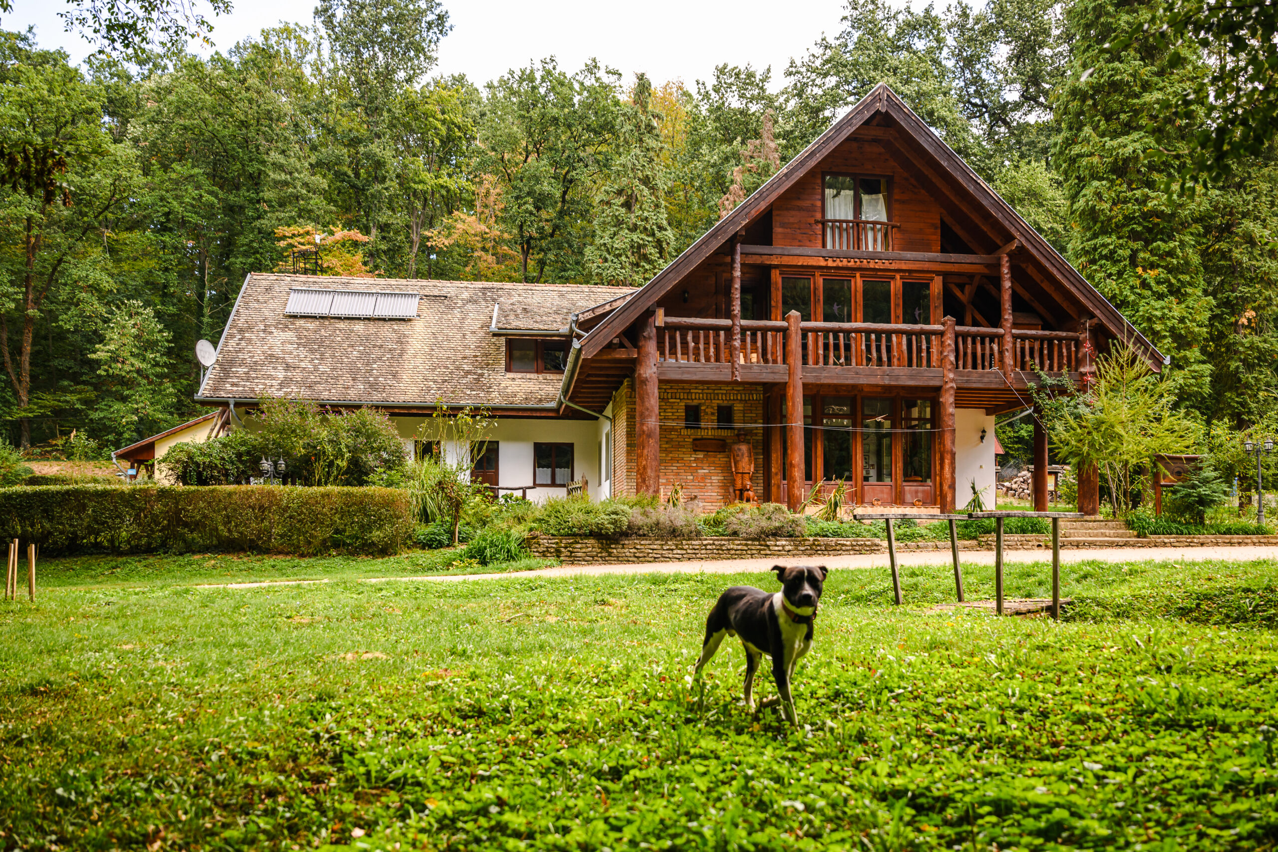 A báránysült és a Lada Niva ablaktörlőmotor