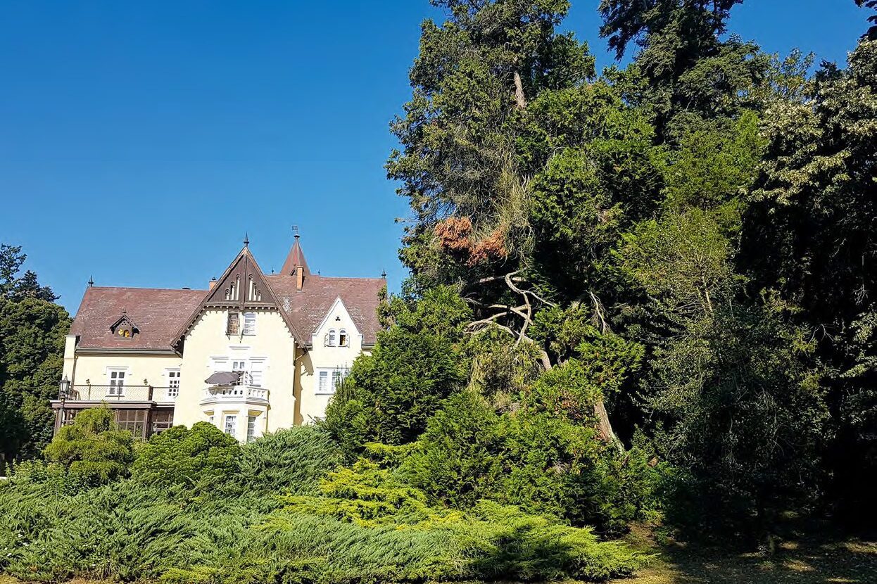 Baich Mihály egykori kertje