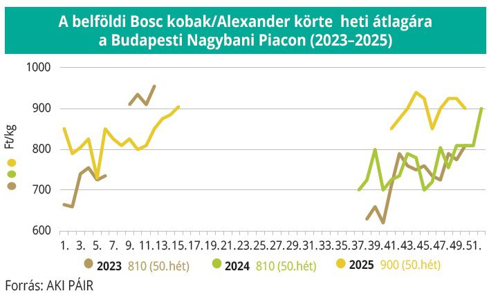 belfoldi_bosc_kobak_korte