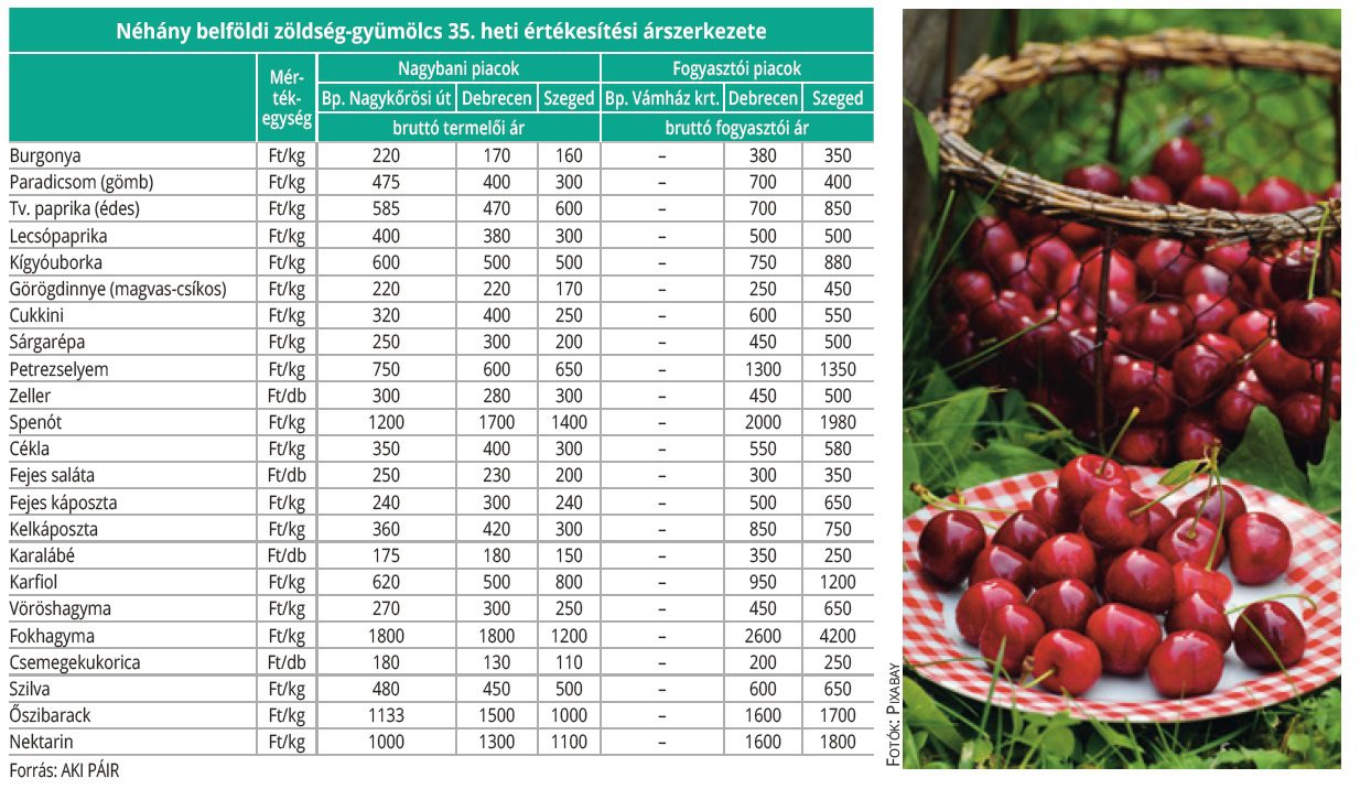 belfoldi_gyumzoldseg_35het