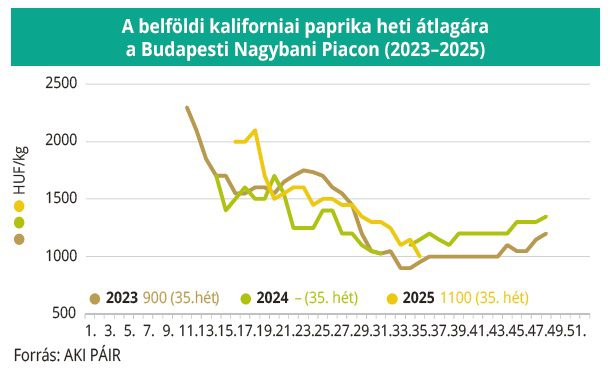 belfoldi_kaliforniai_paprika