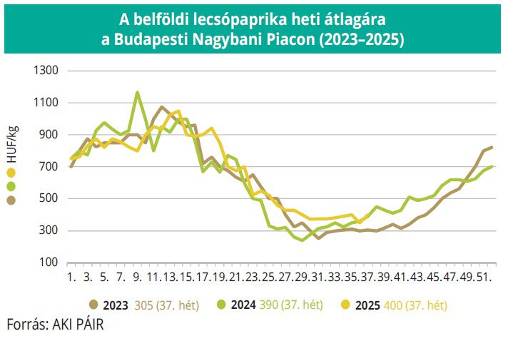 belfoldi_lecsopaprika