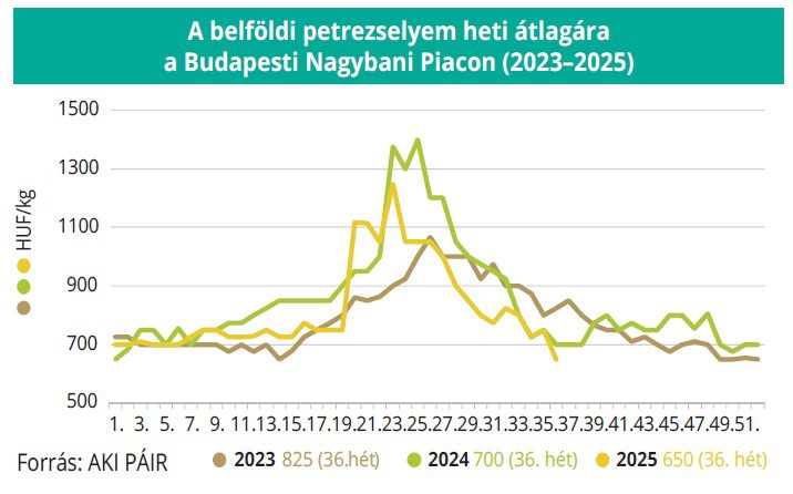 belfoldi_petrezselyem