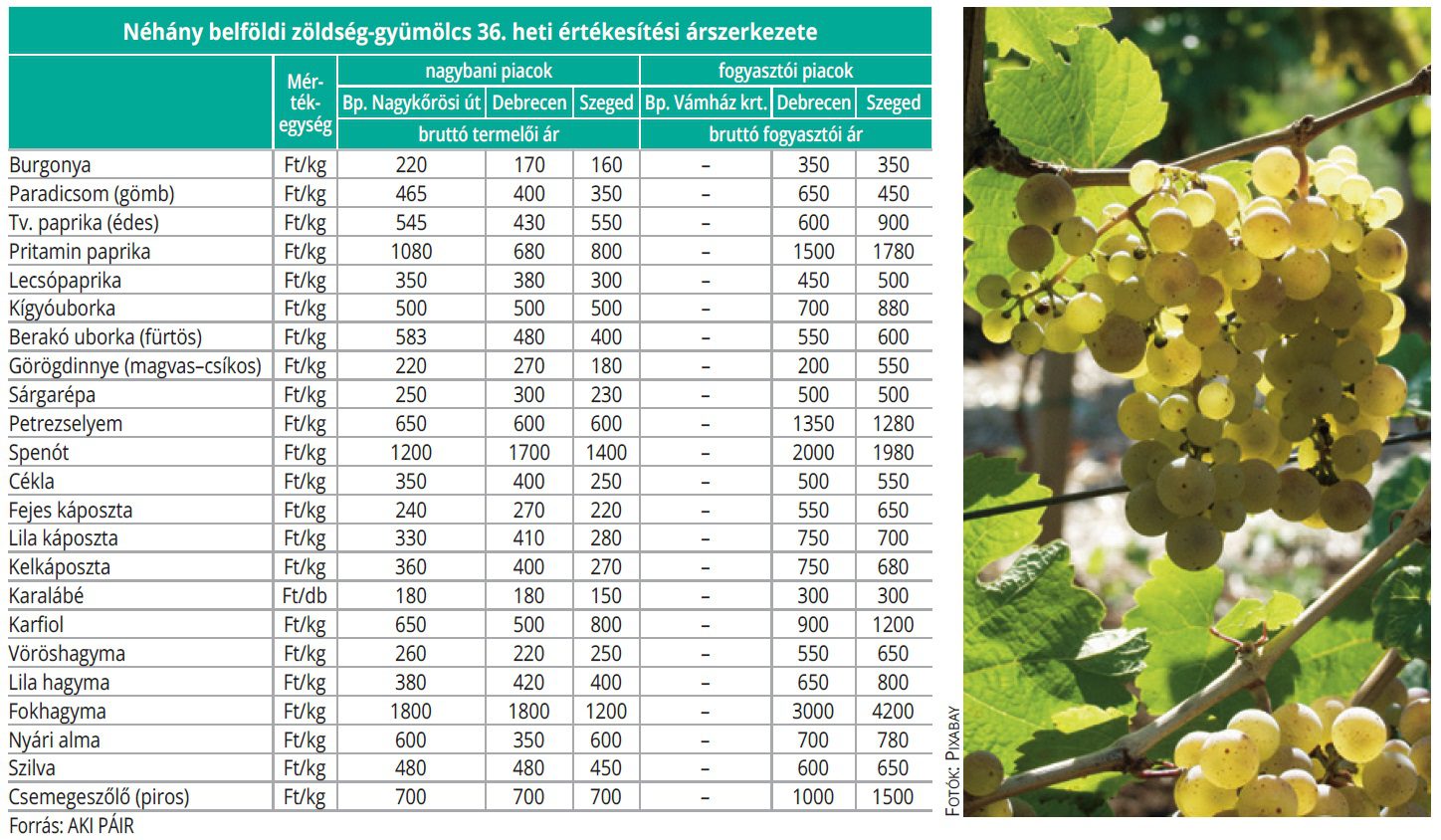 belfoldi_zoldseg_gyum_36het