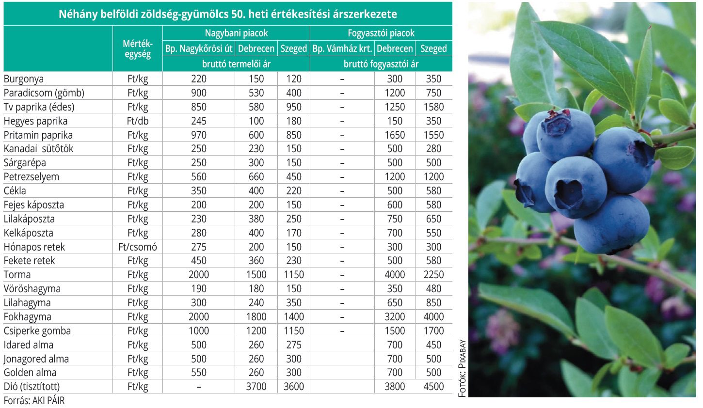 belfoldi_zoldseg_gyum_50het
