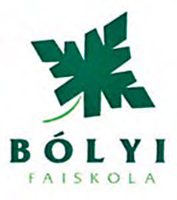 Egy hibrid örökzöld, ami nagyobb figyelmet érdemel