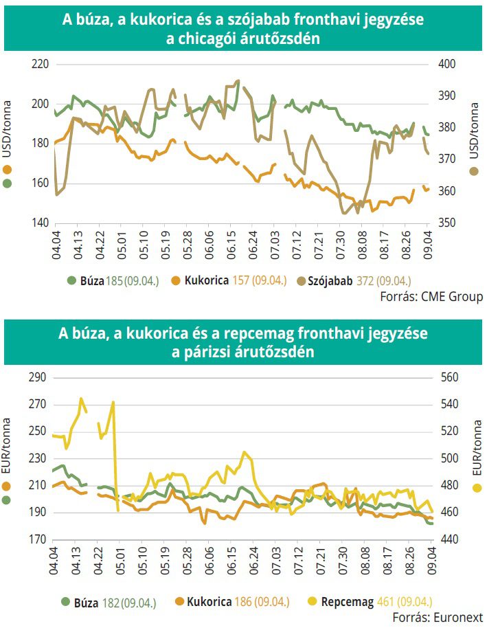 buza_kukorica_tozsde_37