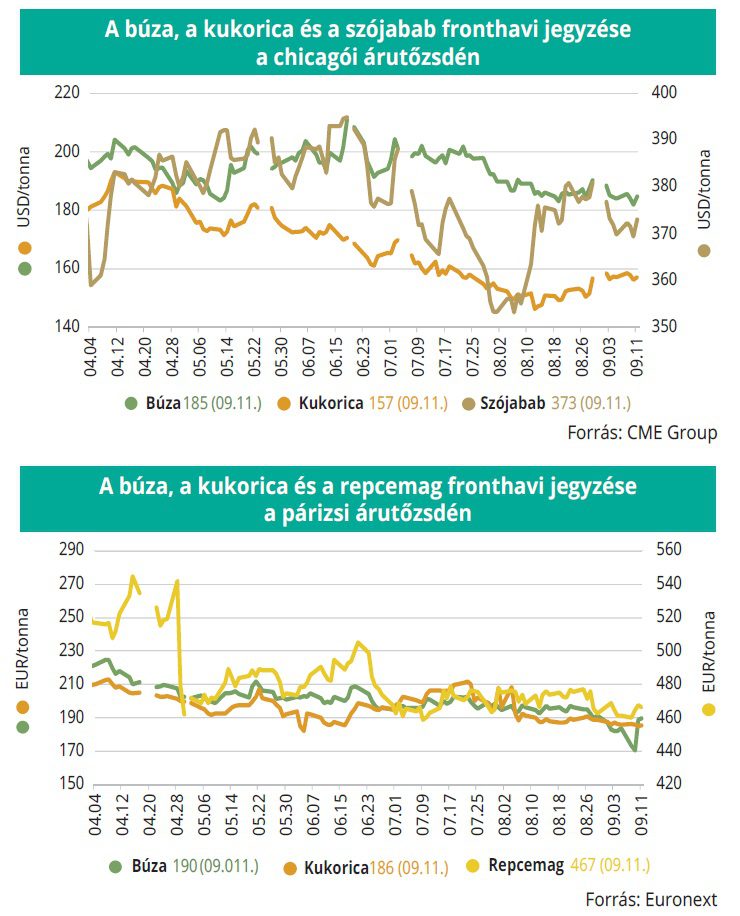 buza_kukorica_tozsde_38