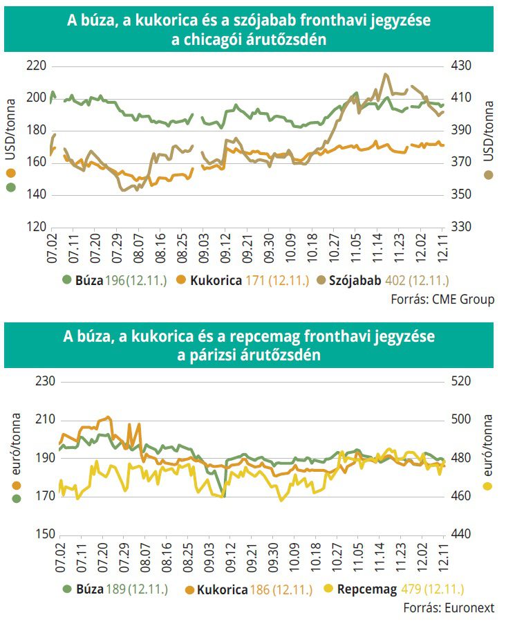 buza_kukorica_tozsde_5152