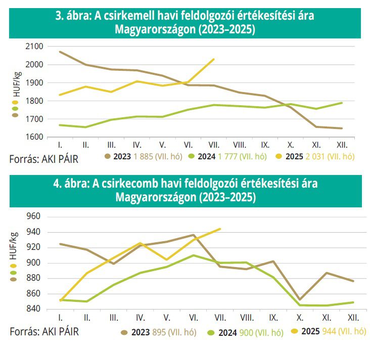 csirkemell_csirkecomb