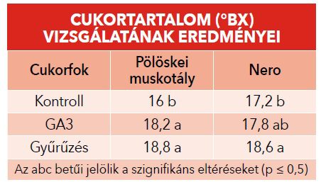 cukortartalom vizsgálat