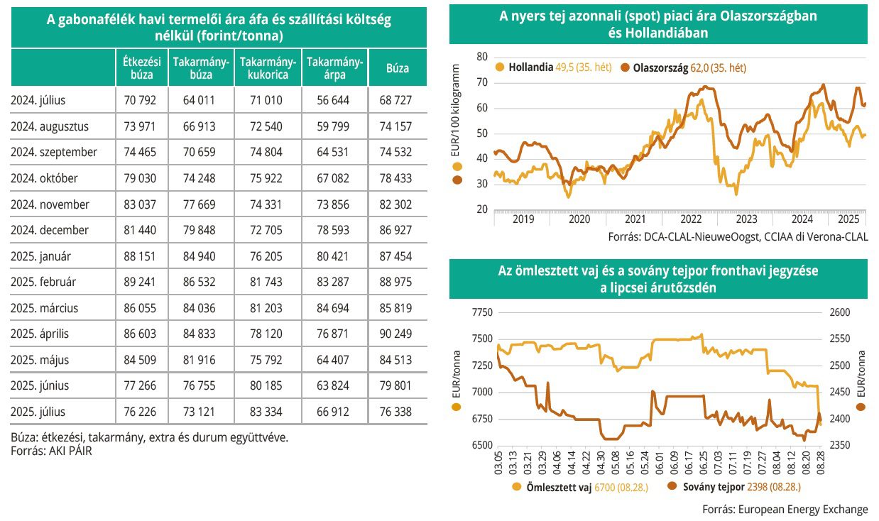gabona_tejtermekek_arutozsde_36