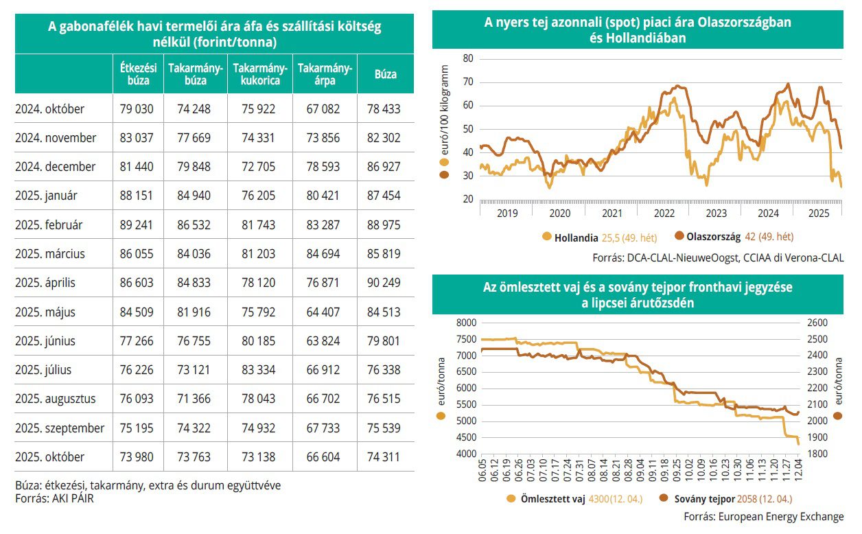 gabonafelek_tejtermekek_50es
