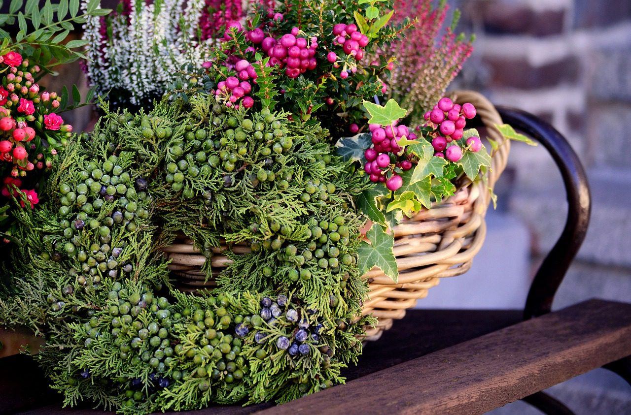 karácsony dísz díszkert bogyós koszorú kopogtató