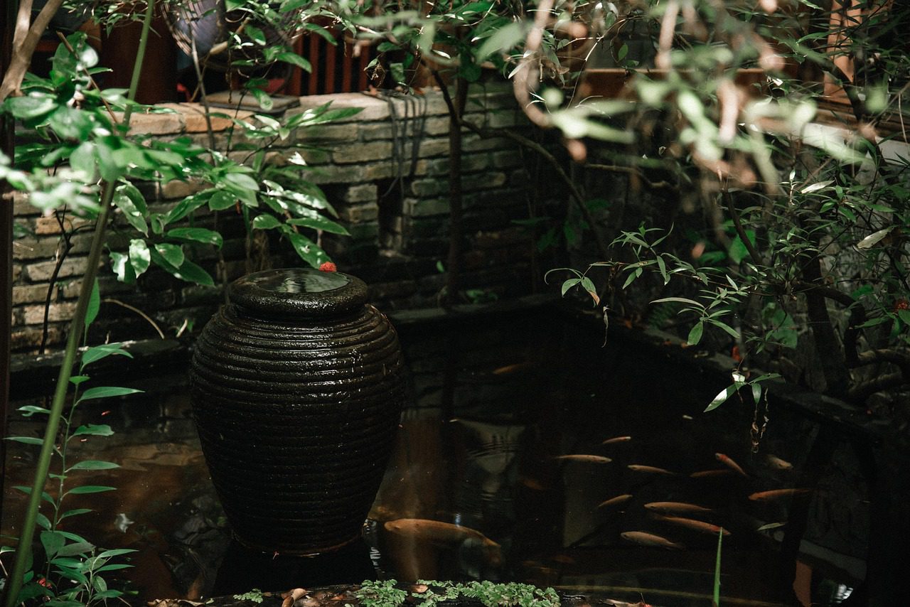 Készítsük fel a kerti tavat a téli álomra