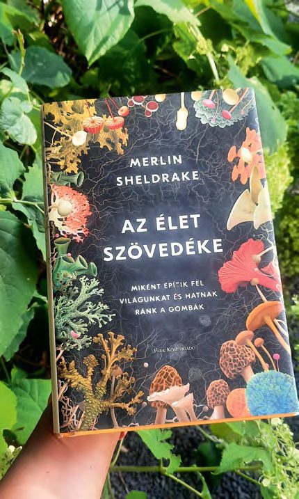 konyv_elet_szovedeke