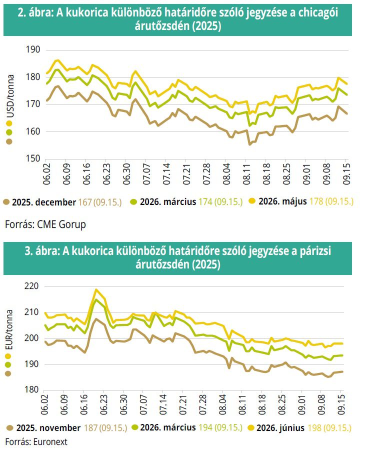 kukorica_chicago_parizsi_tozsde