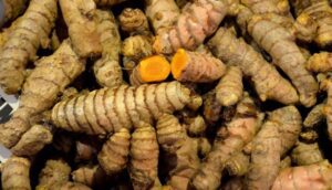 A kurkuma vaskos gyöktörzsének húsa aromás, élénkvöröses narancssárga