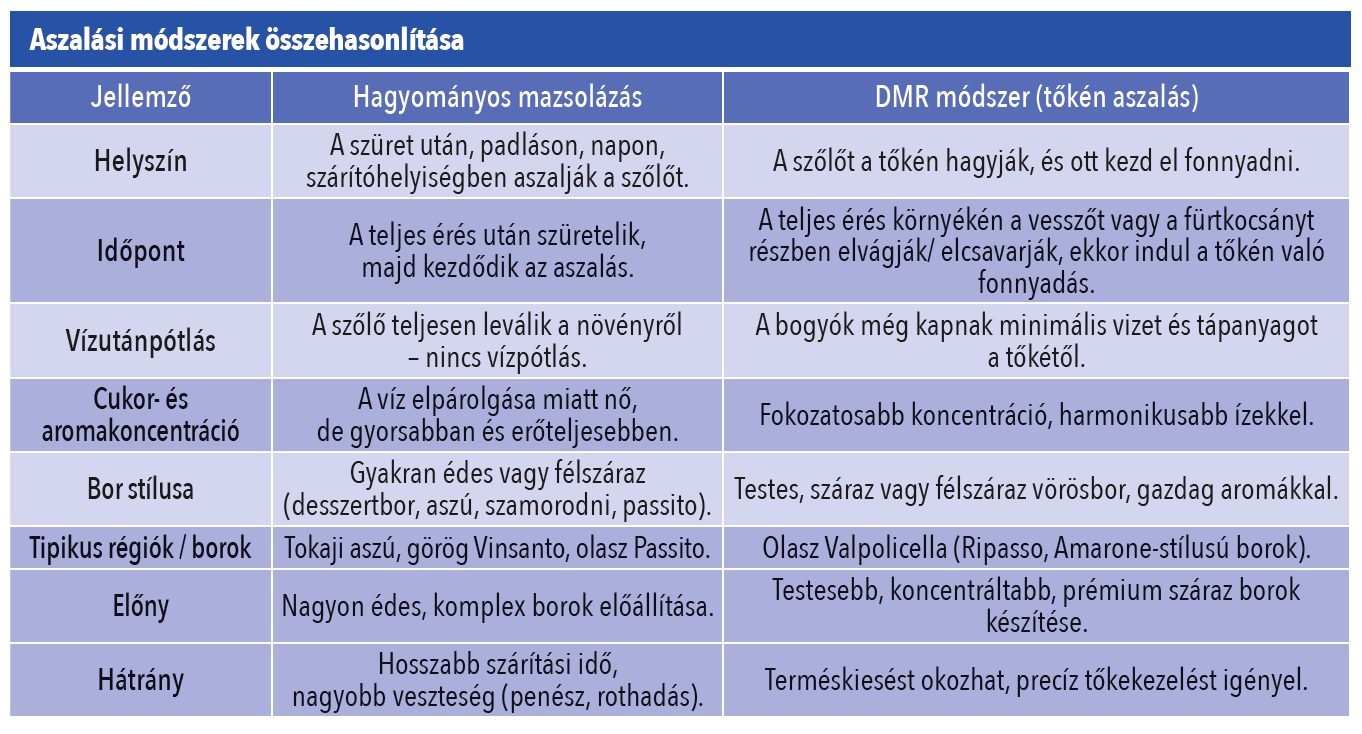 mazsola_aszalasi_modszerek